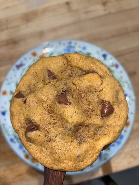 Chocolate chip cookie using tallow
