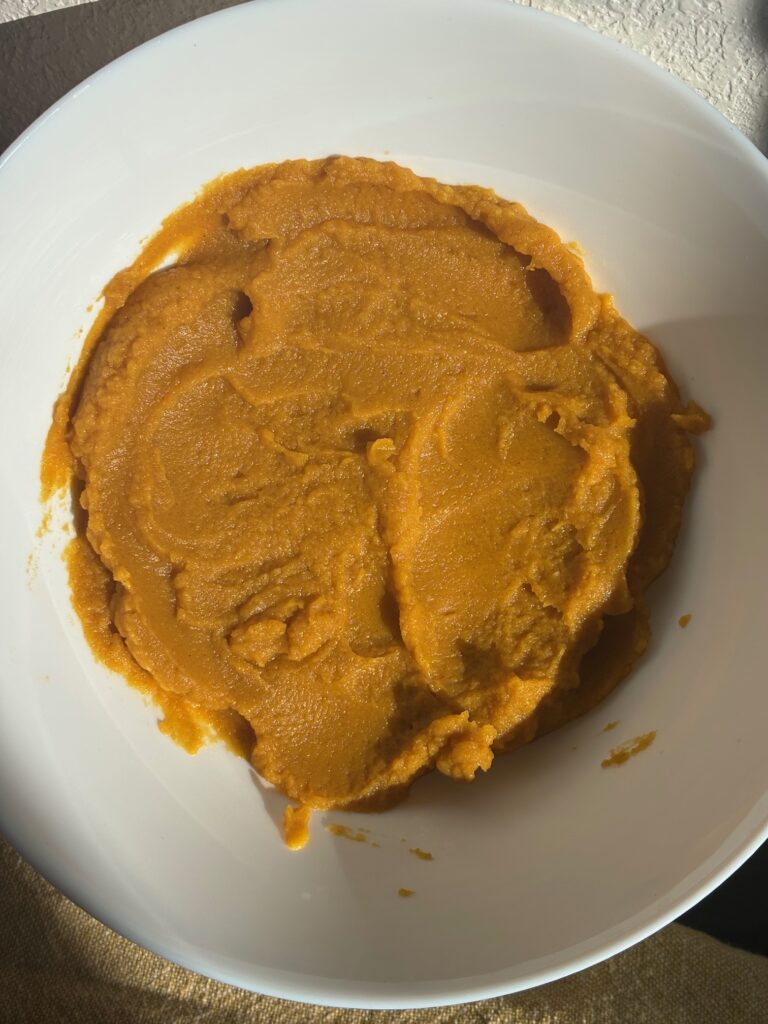 Homemade Pumpkin Puree in a white bowl