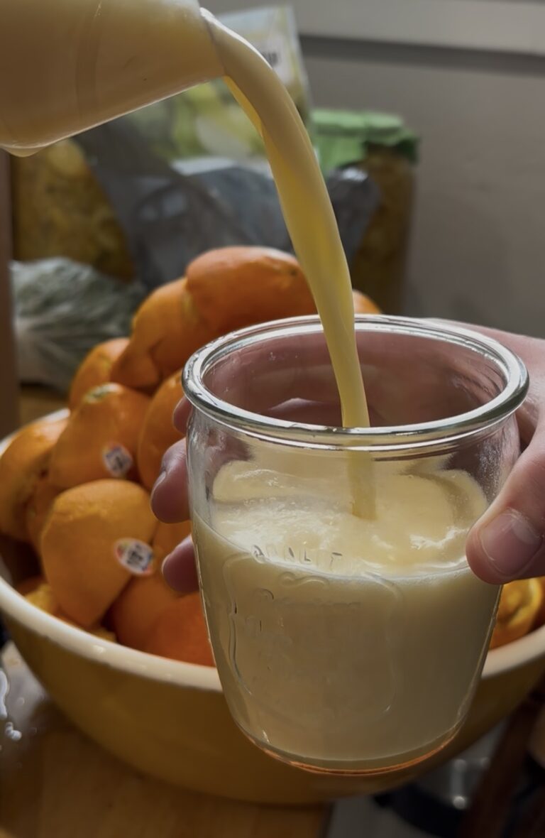 Picture of Orange Julius being poured into a glass with oranges in the background